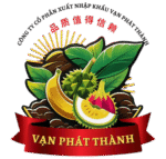 vanphatthanh.com